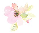 charmed designs