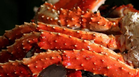 Crab