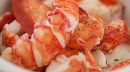 Lobster