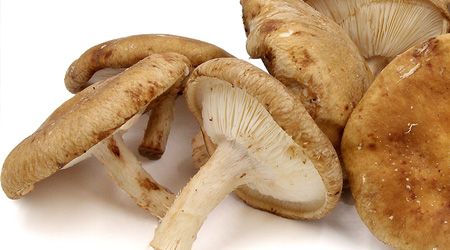 Shiitake Mushrooms