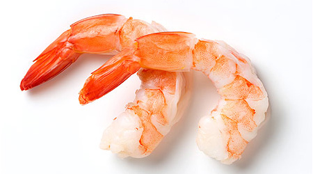 Shrimp