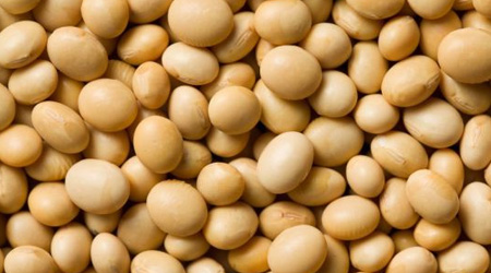 Soybeans