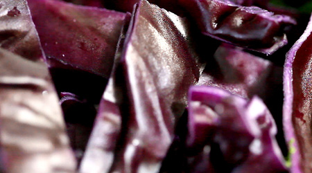 red cabbage